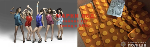 ГАЛЛЮЦИНОГЕННЫЕ ГРИБЫ Куйбышев