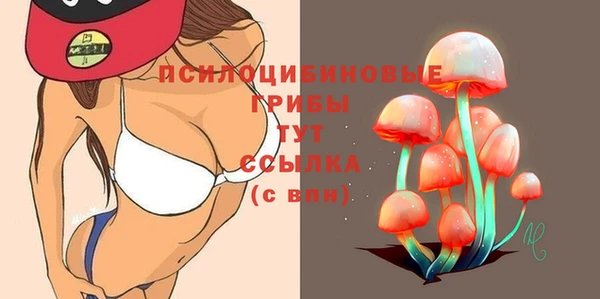 индика Кукмор