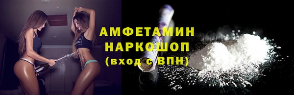 индика Кукмор