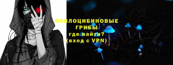 ГАЛЛЮЦИНОГЕННЫЕ ГРИБЫ Куйбышев