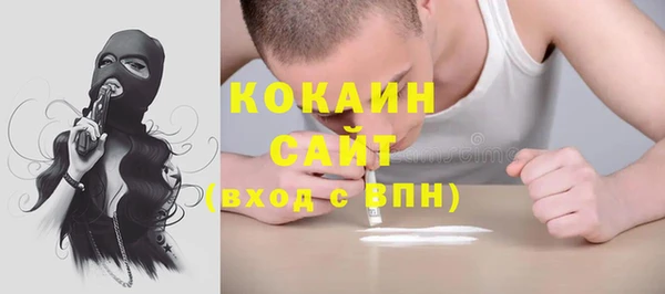 индика Кукмор