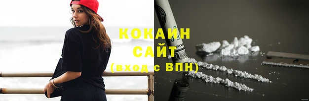 индика Кукмор