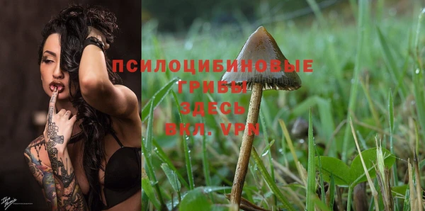 индика Кукмор