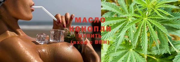 индика Кукмор