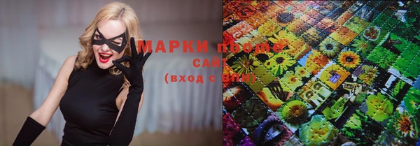 индика Кукмор