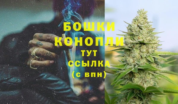 ГАЛЛЮЦИНОГЕННЫЕ ГРИБЫ Куйбышев