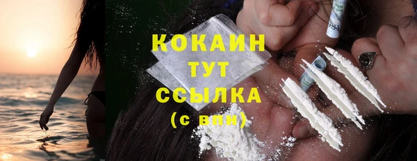 индика Кукмор